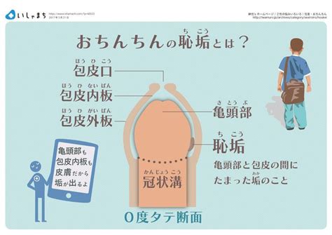 高1男子で包茎ってやばいですか？また、どれくらいの時期にど。